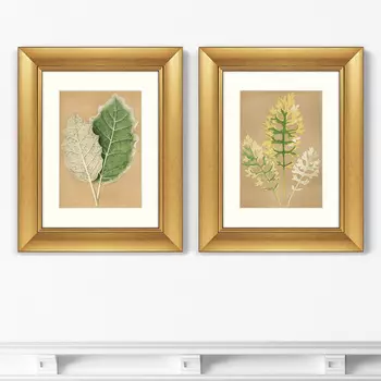 Диптих Cineraria Maritima, 1879г. (51х41 см - 2 шт)