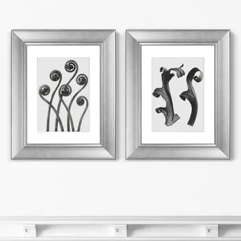 Диптих Compass Plant, 1928г. (51х41 см - 2 шт)