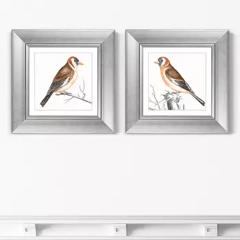 Диптих Goldfinches, 1698г. (36х36 см - 2 шт)
