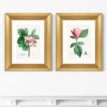 Диптих Lily magnolia &amp; Pistaccia vera, 1801г, (51х41 см - 2 шт)