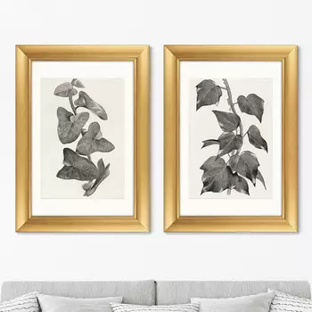 Диптих Melanocarpa from The Ivy II, 1872г. (51х71 см - 2 шт)