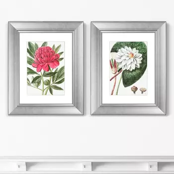 Диптих Peony, 1773г. (51х41 см - 2 шт)