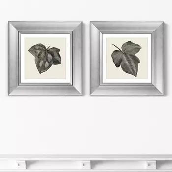 Диптих Rugosa from The Ivy, 1882г. (36х36 см - 2 шт)