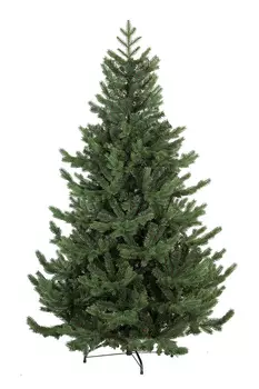 Елка Римская Цвет: Зеленый (210 см)