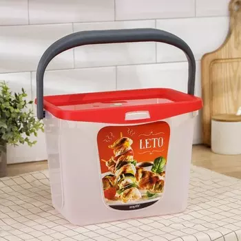 Емкость (28х20х21 см)