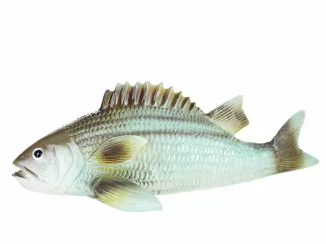 Фигурка Сазан (11х14х31 см)