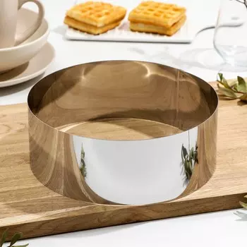 Форма (22х22х8 см)