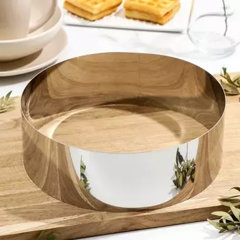 Форма (24х8 см)