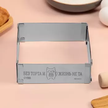 Форма Без торта (5х15х15 см)