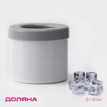 Форма для льда (9х9х8 см)
