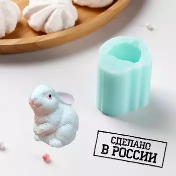 Форма Зайка (4х4х4 см)