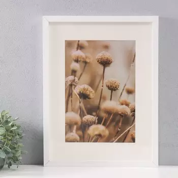 Фоторамка (30х40 см)