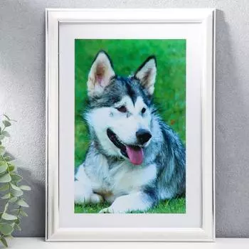 Фоторамка Белое серебро (21х30 см)