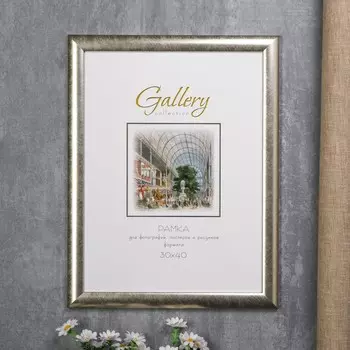 Фоторамка Frame (30х40 см) цвет: серебряный