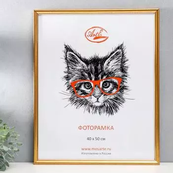 Фоторамка Frame (53х43х2 см) цвет: состаренное золото