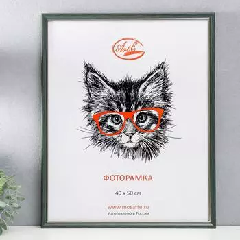 Фоторамка Frame (53х43х2 см) цвет: зеленый, золотой