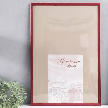 Фоторамка Lyra (62х42х2 см)