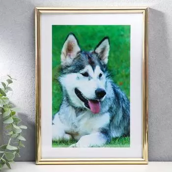 Фоторамка Золото (21 см)