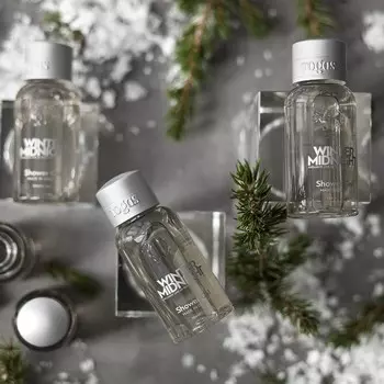 Гель для душа Зимняя полночь (30 мл)