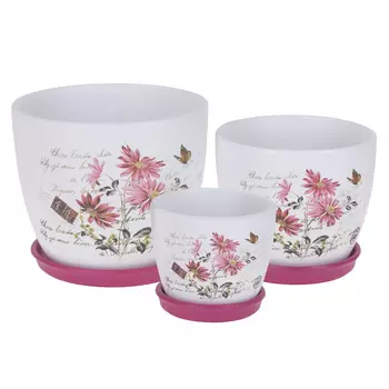 Горшок с поддоном Космея (Набор)