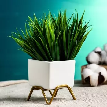 Горшок Куб (7х7 см)