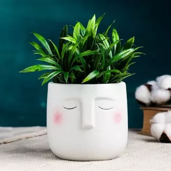 Горшок Мистер Твикс (10х10х10 см)