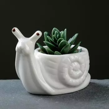 Горшок Улитка (200 мл)