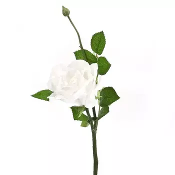 Искусственное растение Anne (40 см)