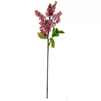 Искусственное растение Dismas (80 см)