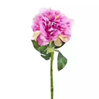 Искусственное растение Moriah (60 см)