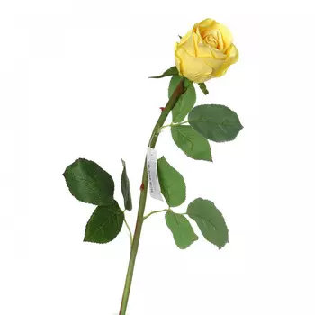 Искусственные растения Arti-M