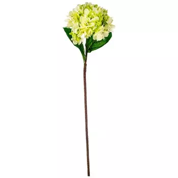 Искусственное растение Casimir (75 см)