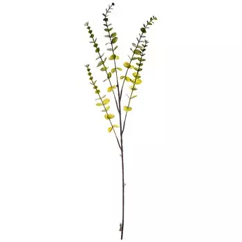 Искусственное растение Aldous (80 см)