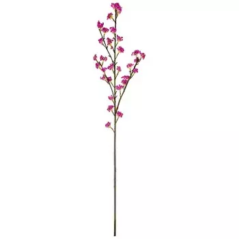 Искусственное растение Lolicia (78 см)