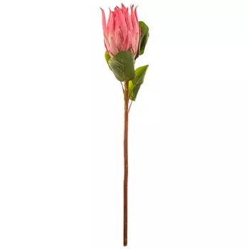 Искусственное растение Ariana (68 см)