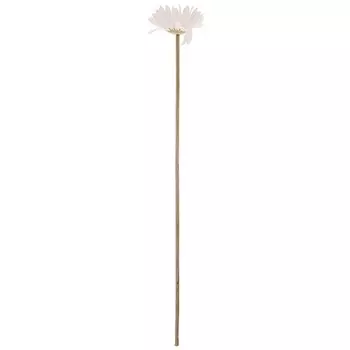 Искусственное растение Hillary (57 см)