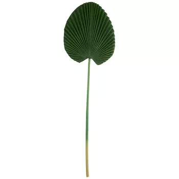 Ветка Shulamit (75 см)