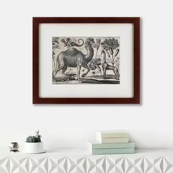 Картина A Camel (42х52 см)