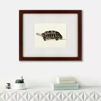 Картина A Hand-Painted Illustration Of An Elongated Tortoise (42х52 см)