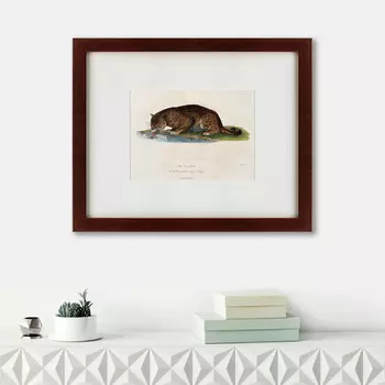 Картина A Panther Drinking (42х52 см)