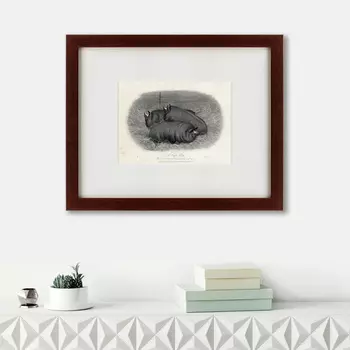 Картина A Pen Of Three Pigs (42х52 см)