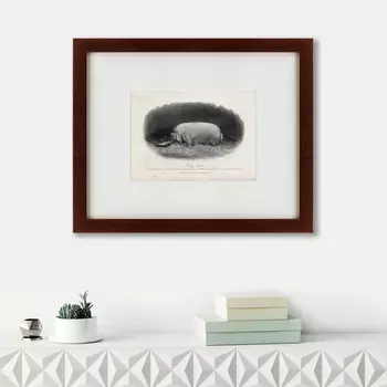 Картина A Prize Boar (42х52 см)