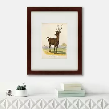 Картина A Rusa Deer (42х52 см)