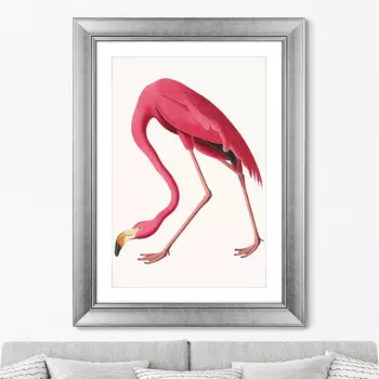 Картина Американский фламинго (литография), 1822г. (60,5х80,5 см)