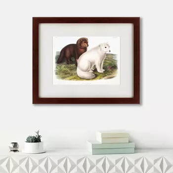 Картина Arctic Fox, 1847 (42х52 см)