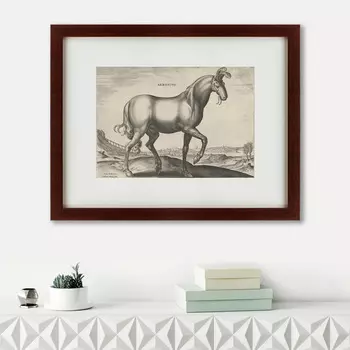 Картина Armenius (47х60 см)