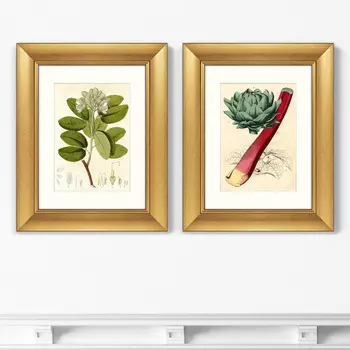 Картина Артишок (40,5х50,5 см - 2 шт)