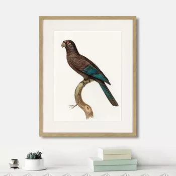 Картина Beautiful parrots №10, 1872г. (42х52 см)