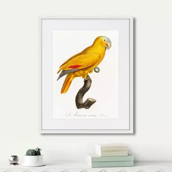 Картина Beautiful parrots №1, 1872г. (42х52 см)