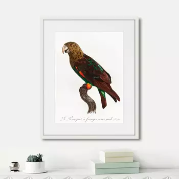 Картина Beautiful parrots №3, 1872г. (42х52 см)